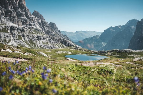 Où trouver des randonnées guidées gratuites dans les Alpes françaises?